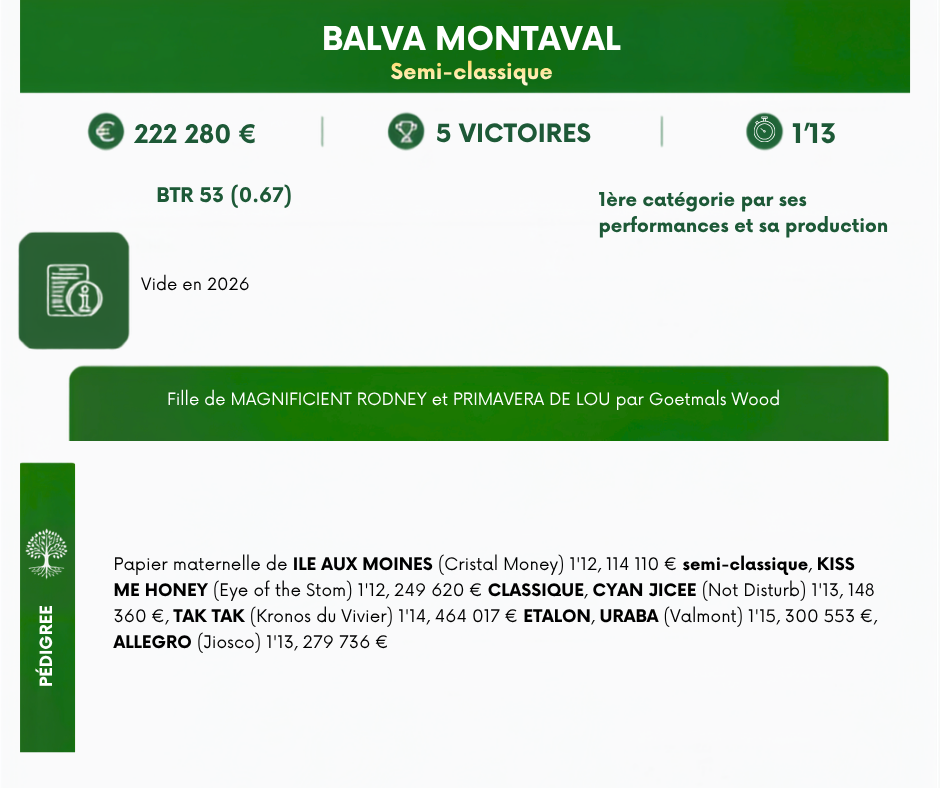 BALVA%20MONTAVAL