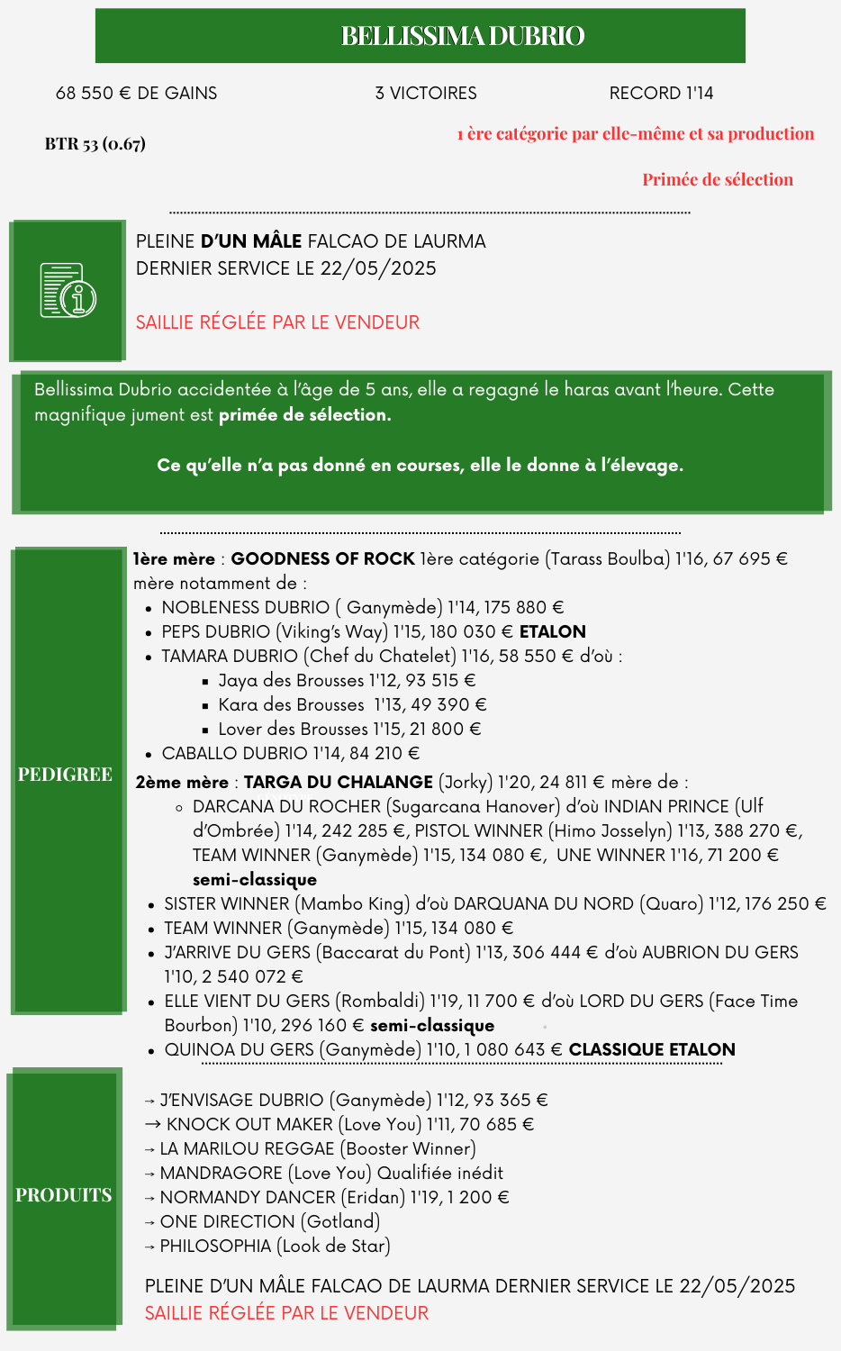 Bellissima%20Dubrio%20(1)