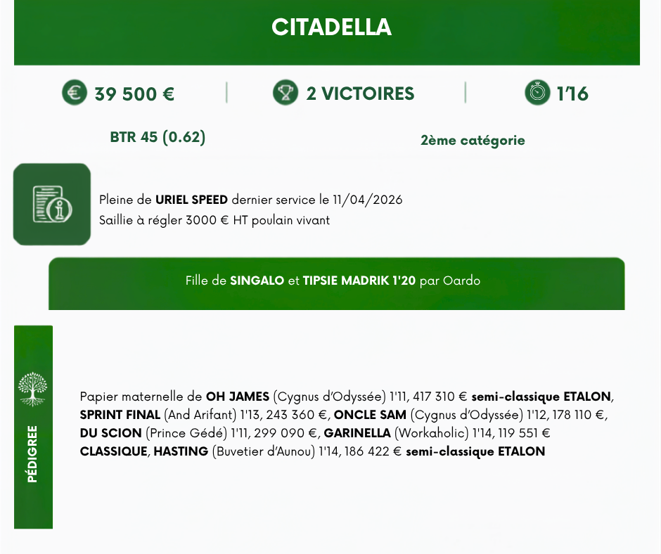 CITADELLA%20(1)