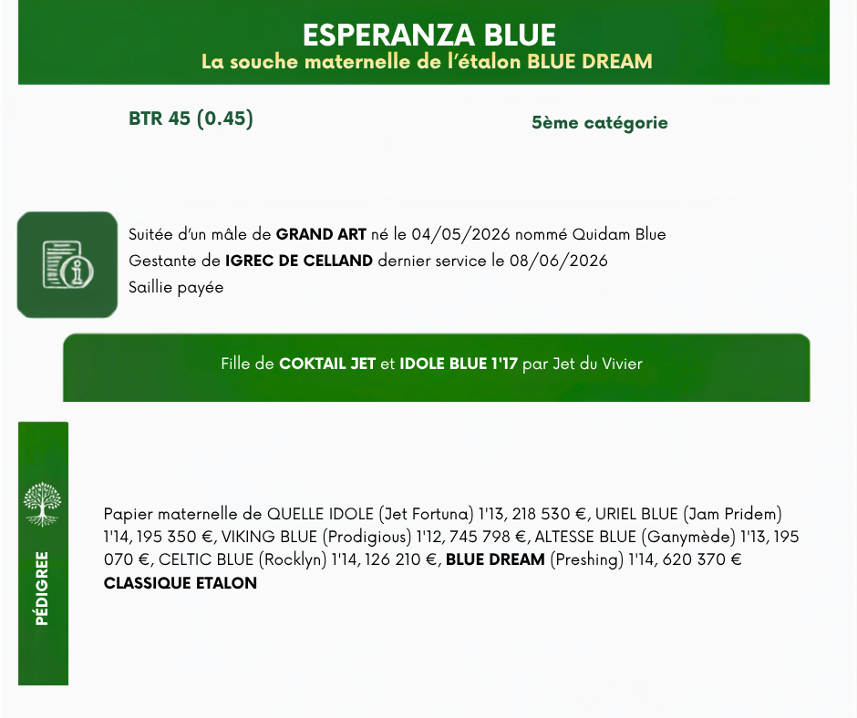 ESPERANZA%20BLUE
