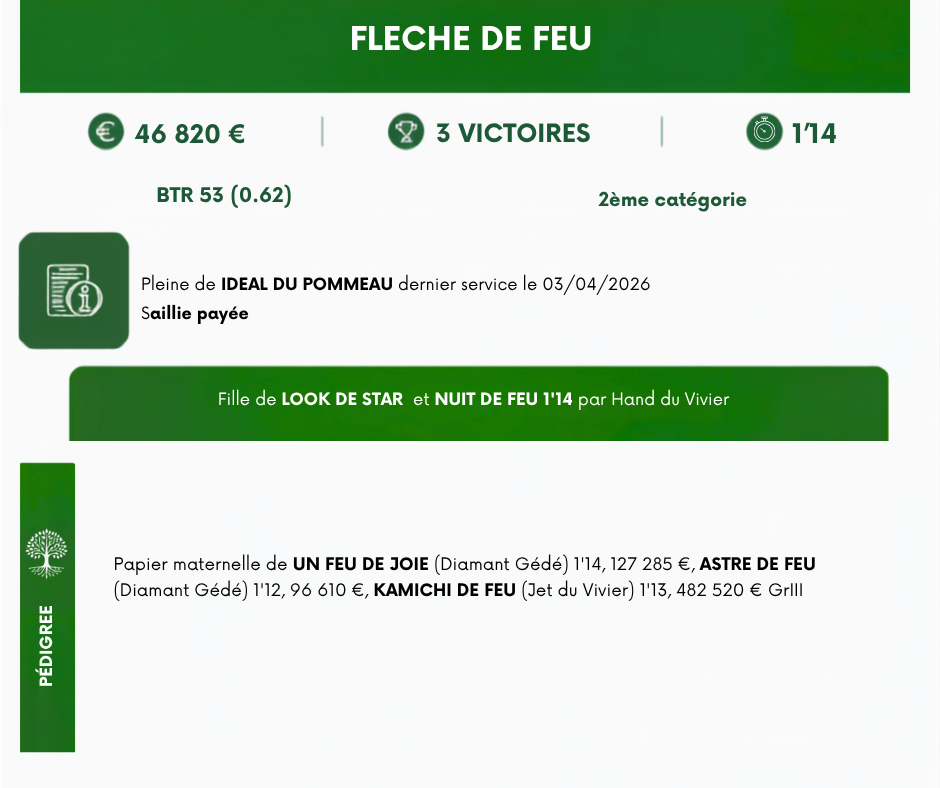 FLECHE%20DE%20FEU