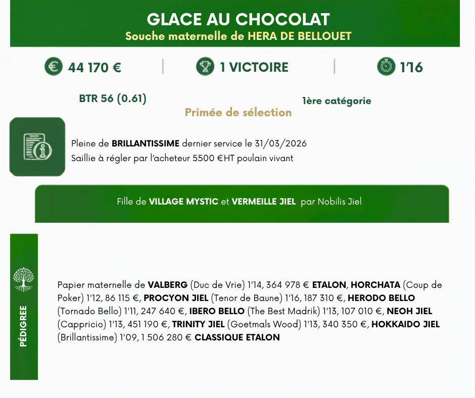 GLACE%20AU%20CHOCOLAT