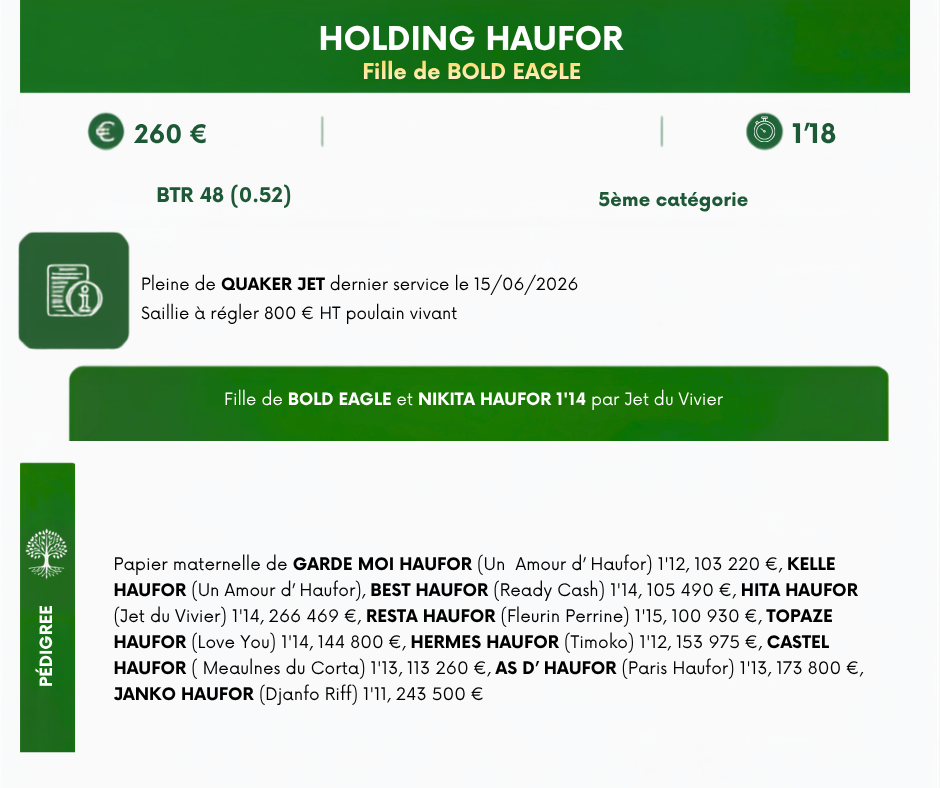 HOLDING%20HAUFOR