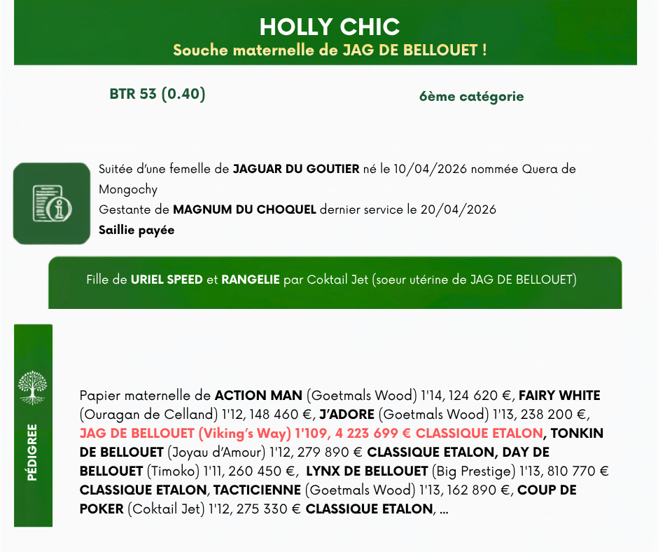 HOLLY%20CHIC