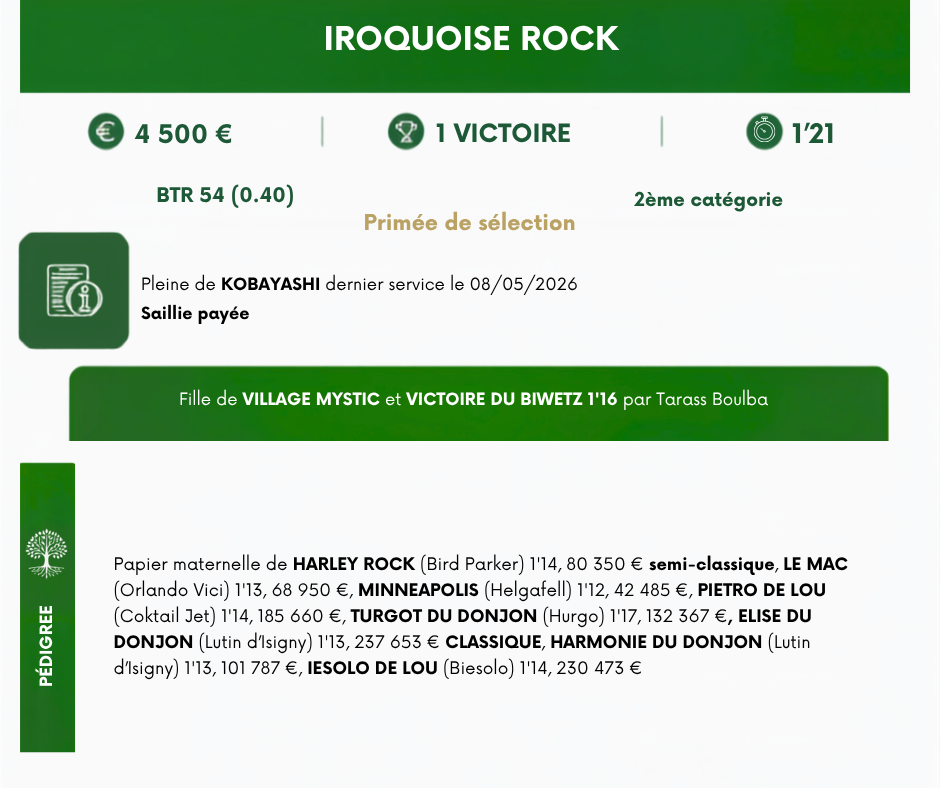 IROQUOISE%20ROCK