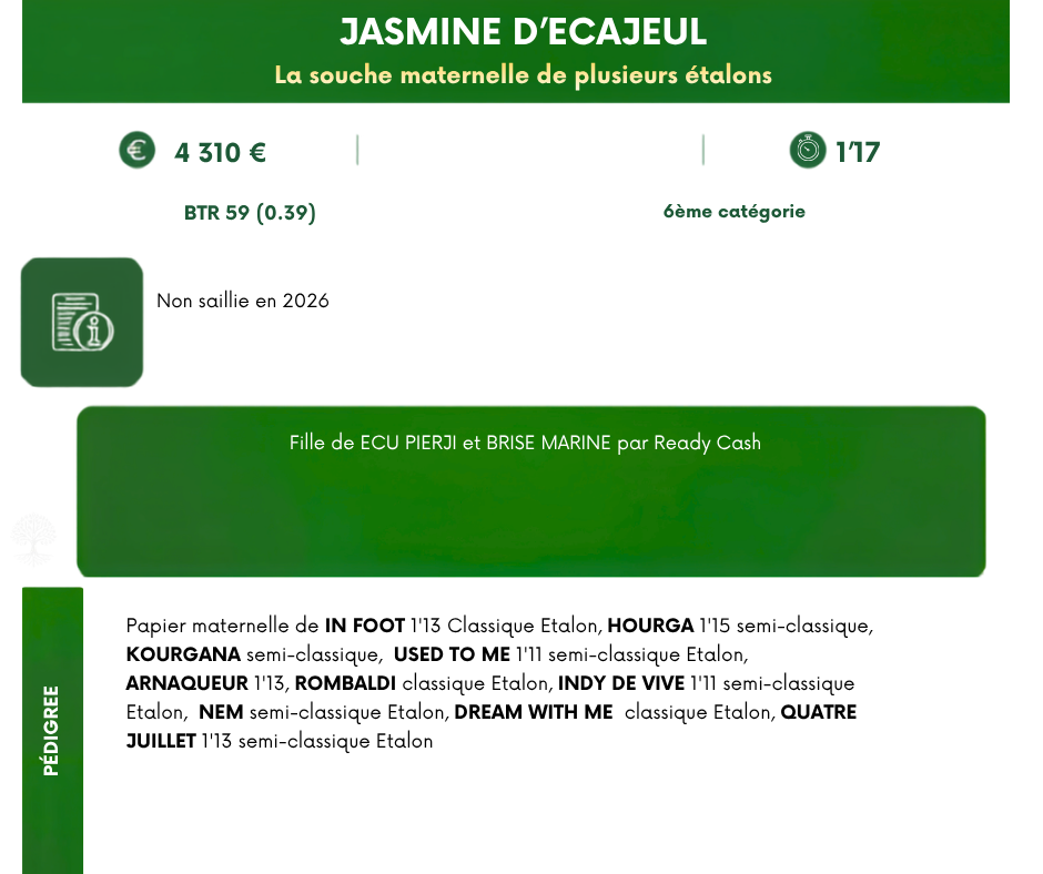 JASMINE%20D'ECAJEUL