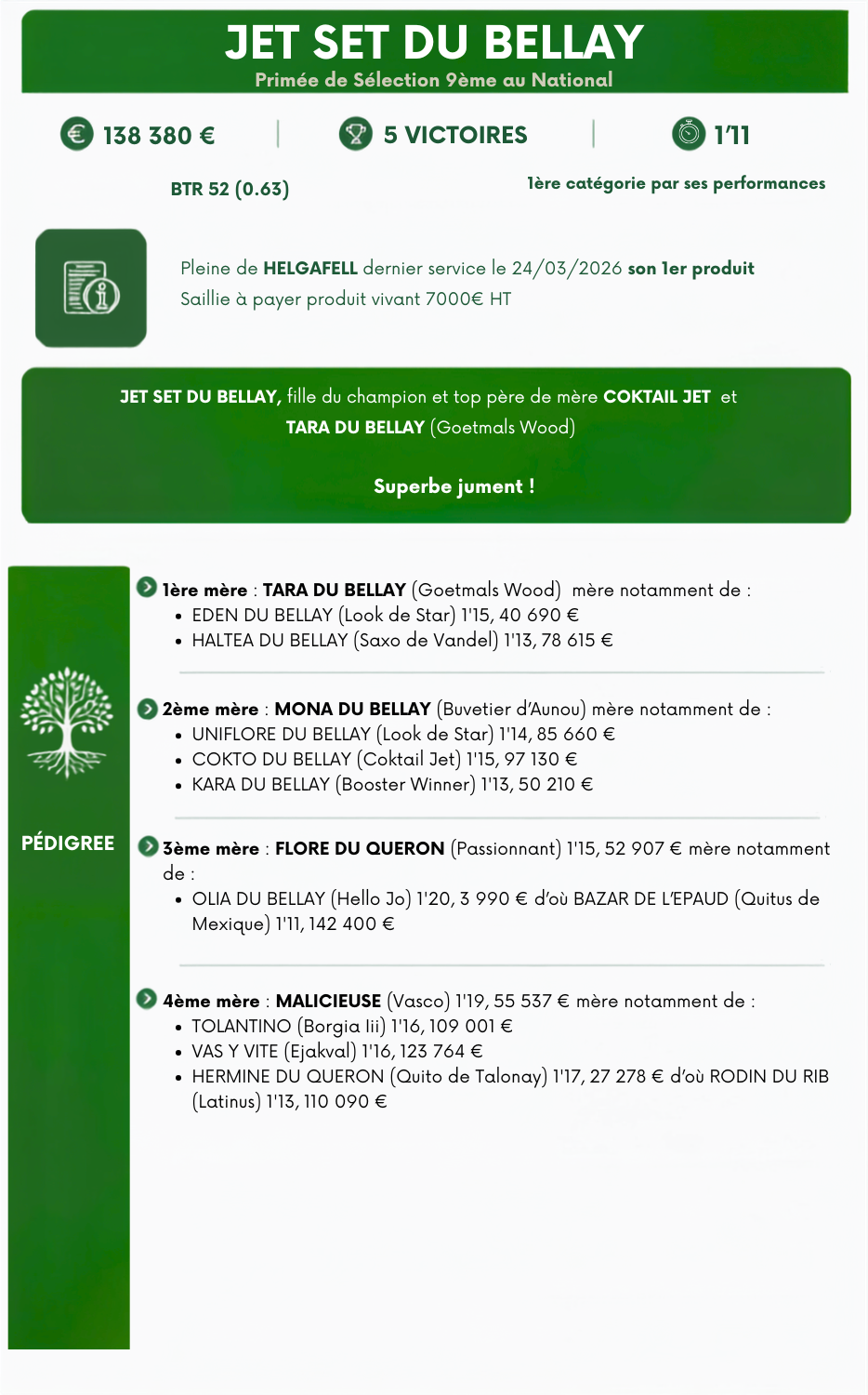 JET%20SET%20DU%20BELLAY