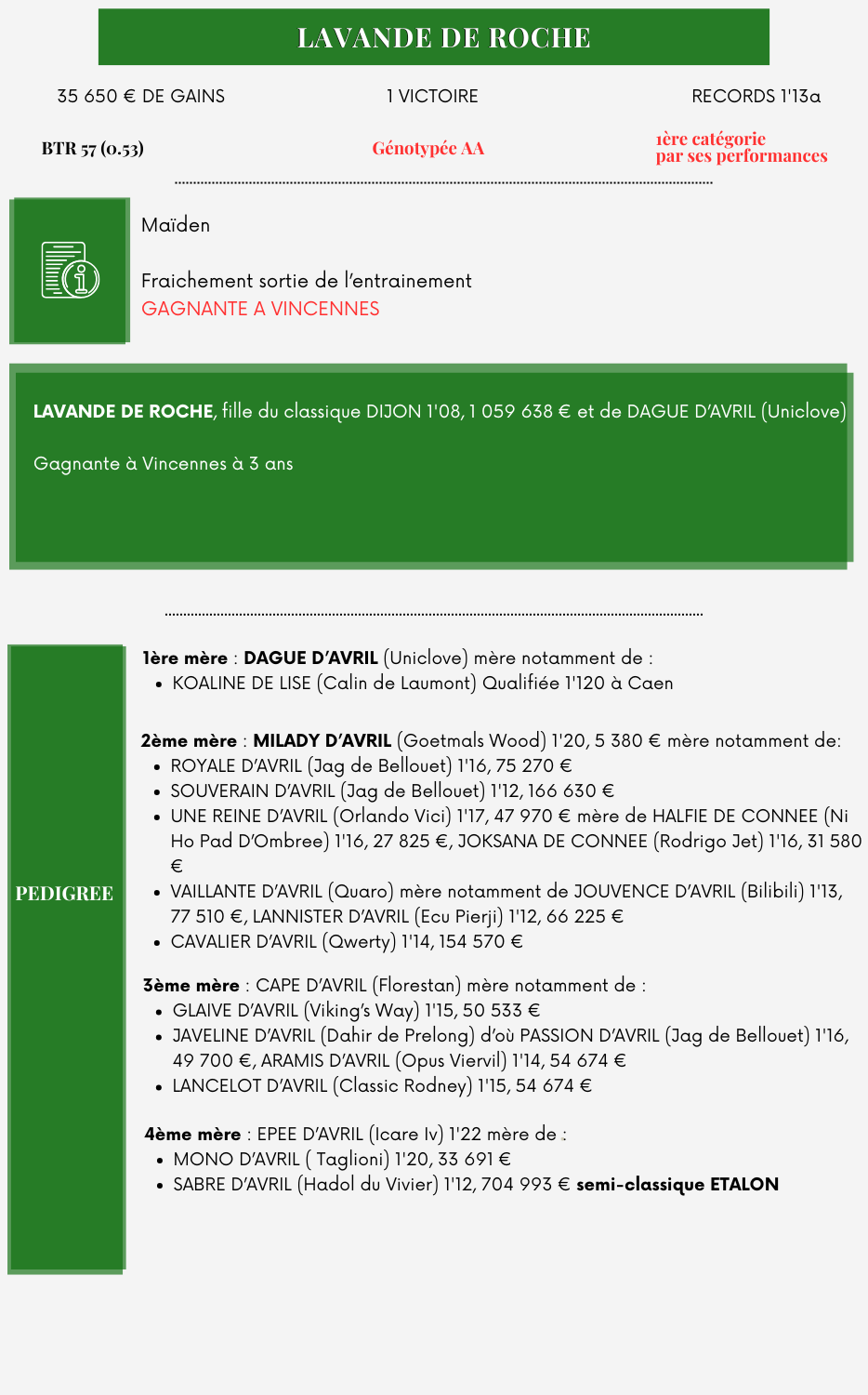 LAVANDE%20DE%20ROCHE%20(1)