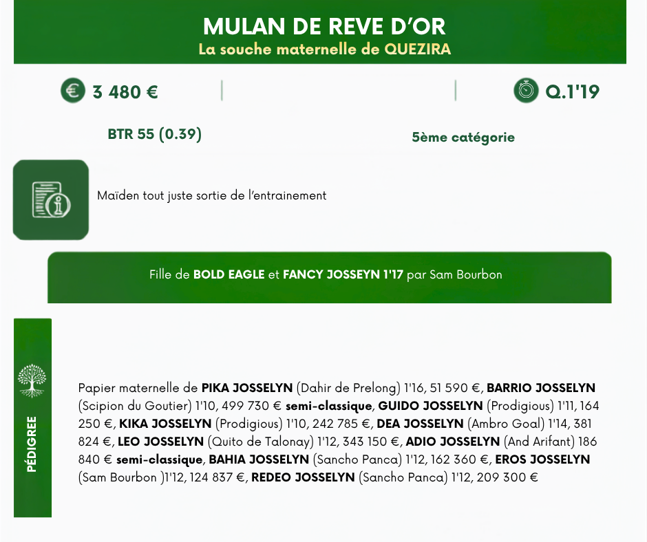 /MULAN%20DE%20REVE%20D'OR