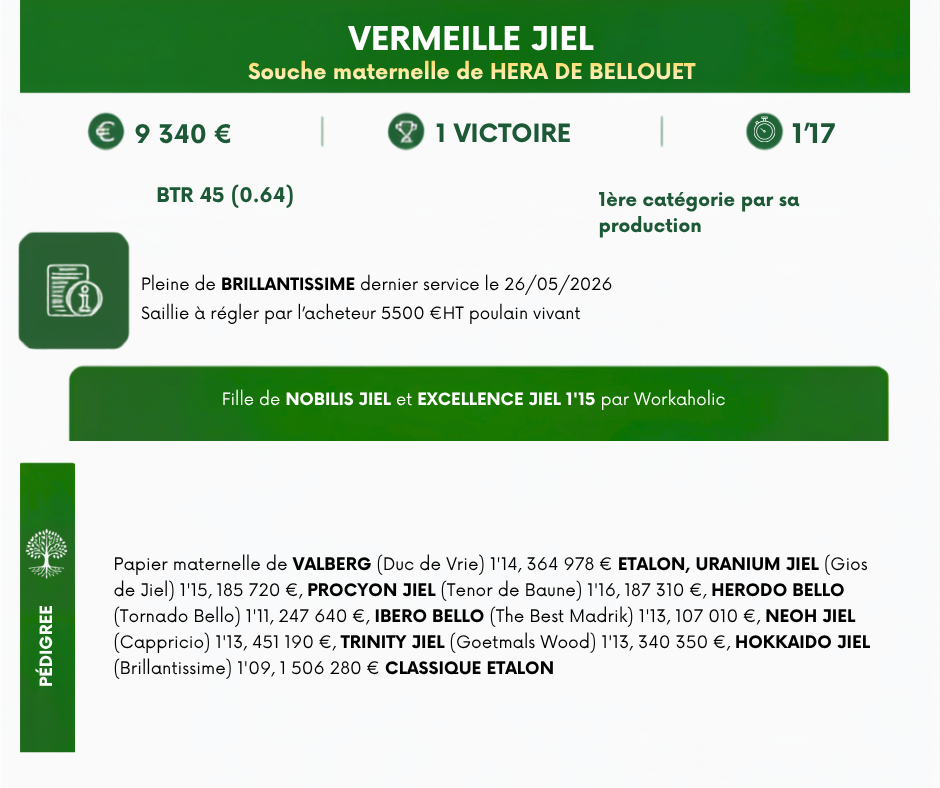 VERMEILLE%20JIEL