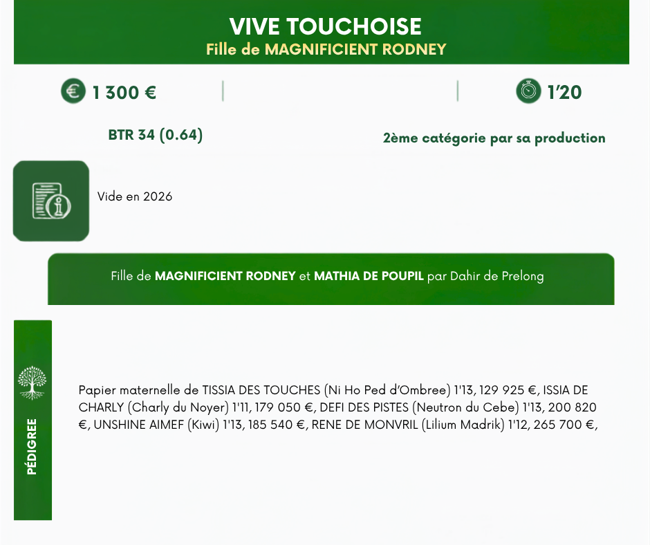 VIVE%20TOUCHOISE