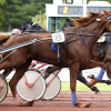 Pouliniere DOSSARIE DE GUEZ