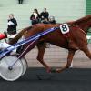 Pouliniere BONNIE CADENCE