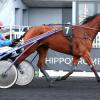 Pouliniere JOYCE CAUVELLIERE