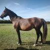 Pouliniere VALLEE SECRETE