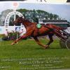 Pouliniere KAPELLA UP STAR