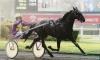 Photo ATHOS DES VOLOS