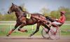 CRAZY HORSE