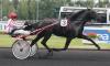Photo QUEROAN DE JAY
