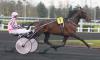 Photo QUILON DU CHATELET