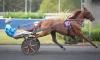 NEO DE JOUDES