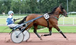 Photo TWIST DES CAILLONS