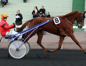 Pouliniere BONNIE CADENCE