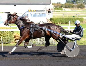 Pouliniere BLACK RAIN