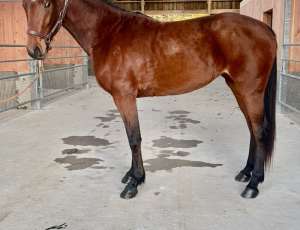 Pouliniere NON E DIFFICILE