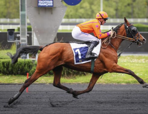 Pouliniere KANTHABELLA