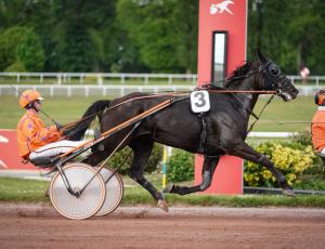 Pouliniere HAITIAN FIGHT SONG
