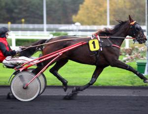 Pouliniere BABYLONE SEVEN