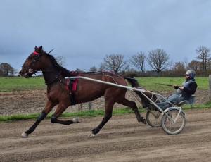 Pouliniere LOLITA DE JEMAX