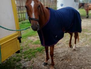 Pouliniere KARINE DU RIL