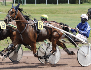 Pouliniere GOLDEN SEVEN