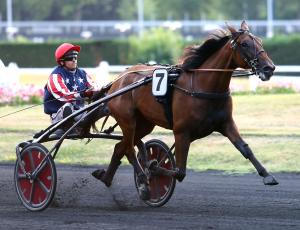 Pouliniere EVOLUTION