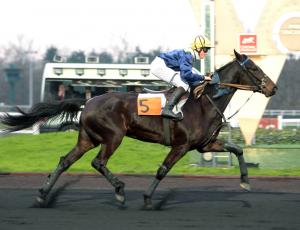 Pouliniere REINE DU COGLAIS