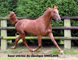 Pouliniere EVIDENCE DESTINEE