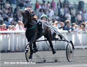 Pouliniere DEMOISELLE D'YVEL