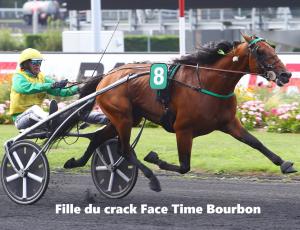 Pouliniere LIZENN SEVEN