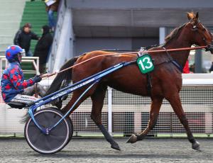 Pouliniere ELENA DE PIENCOURT