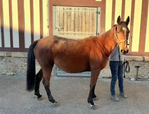 Pouliniere JULIA GEORGE