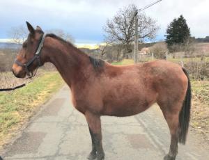 Pouliniere CRISTALLIA