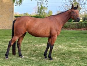 Pouliniere Jade De Blary