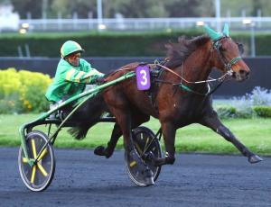 Pouliniere LAVANDE DE ROCHE