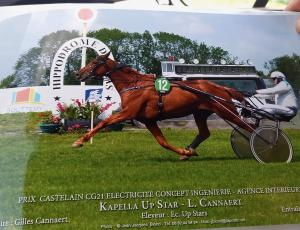 Pouliniere KAPELLA UP STAR