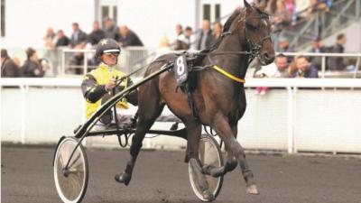 Photo Un placé pour Inherit dans le Grand Prix de La Gacilly