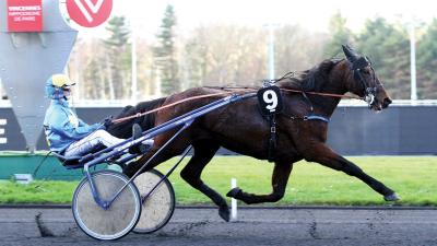 Photo 1 victoire et 1 placé pour les produits de CAPTAIN SPARROW