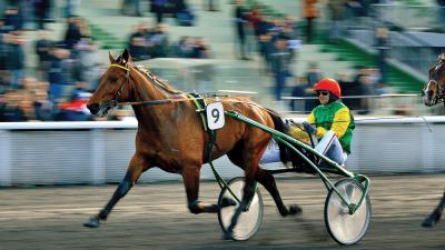 Photo Deux produits de Davidson du Pont placés en tête d’affiche