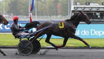 Photo 1 victoire et 1 placé pour les produits de FAIRPLAY D'URZY cette semaine